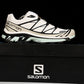 Salomon XT-6 'White Icy Morn'