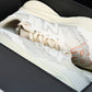 NB x Stone Island x Tokyo Design Studio FuelCell RC Elite V2 'White'