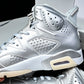 AJ6 Retro x PSG 'Metallic Silver'