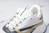 D1or B22 'White Beige Silver'