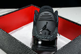 AJ3 Retro 'Black Cat' (2025)