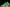AJ4 Retro Wahlburgers