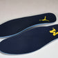 AJ4 Retro Michigan PE
