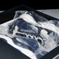 D1or B22 'Blue Black'