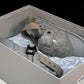 Birkenstock x D1or Tokio Mule Felted Wool 'Grey'