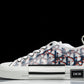 D1or B23 Low ‘Oblique Red Blue Pixel’