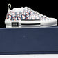 D1or B23 Low ‘Oblique Red Blue Pixel’