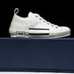 D1or B23 Low ‘Oblique White’