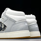 D1or B27 High Oblique 'Grey White'