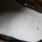 D1or B27 Low by Birkenstock 'Cream'