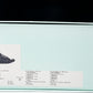 Lanvin Curb Sneaker 'Reflective Black'