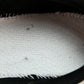 NB 1906R x GANNI 'Eglet'