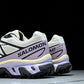 Salomon XT-6 'Icicle Nirvana'