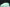 Dnk Low 'Green Glow'