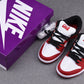 SB Dnk Low Chicago